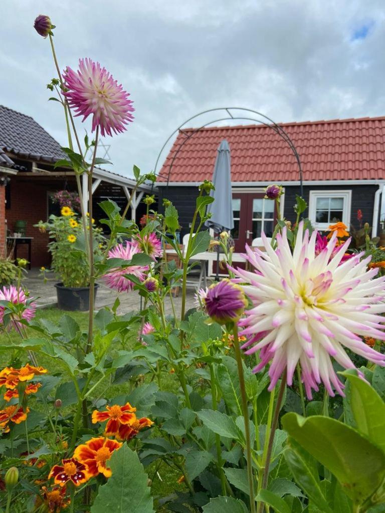 Bed En Brochje De Oase Bed & Breakfast Sweagerbosk Luaran gambar